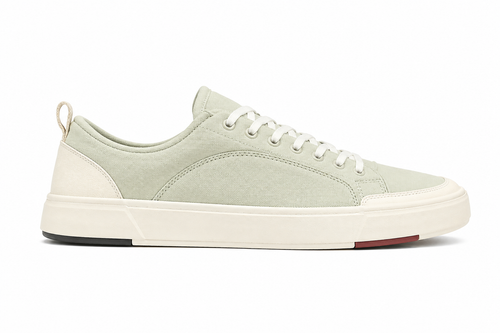 Chuck Taylor Chuck 70 Low Tri-Panel